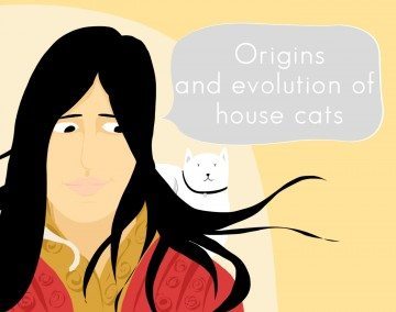 Origin And Evolution of House Cats